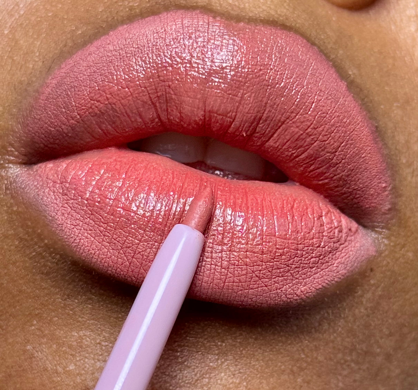 Mauve rose